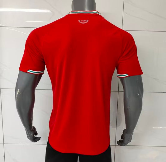 /27 Wales home S-XXL4