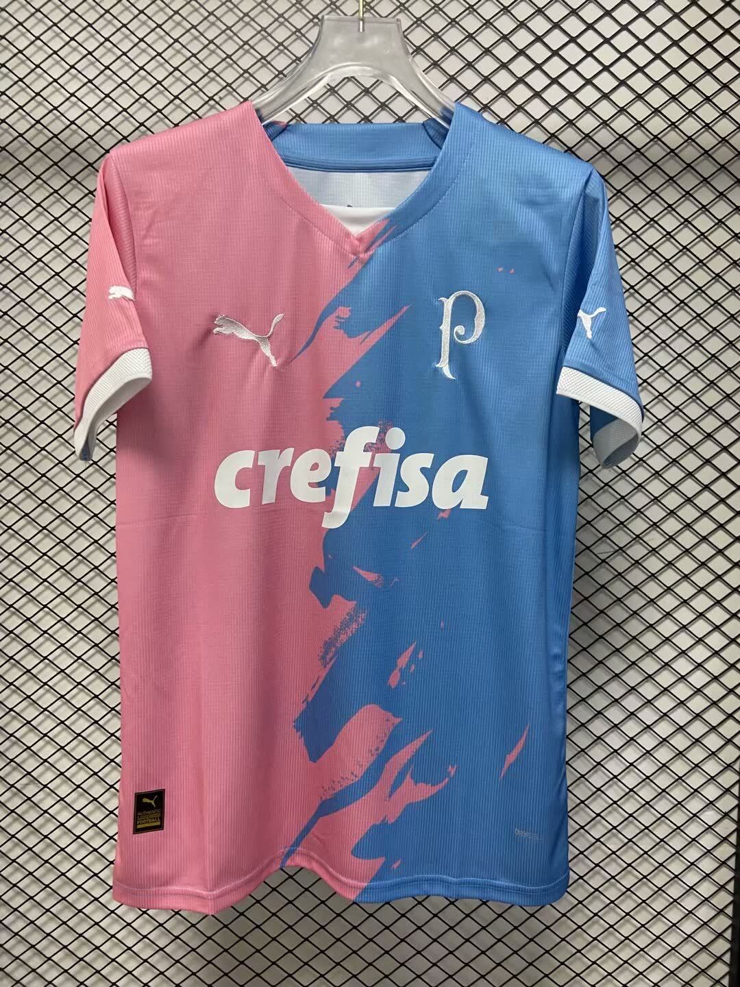 23/24 Palmeiras Red and Blue Training Clothes