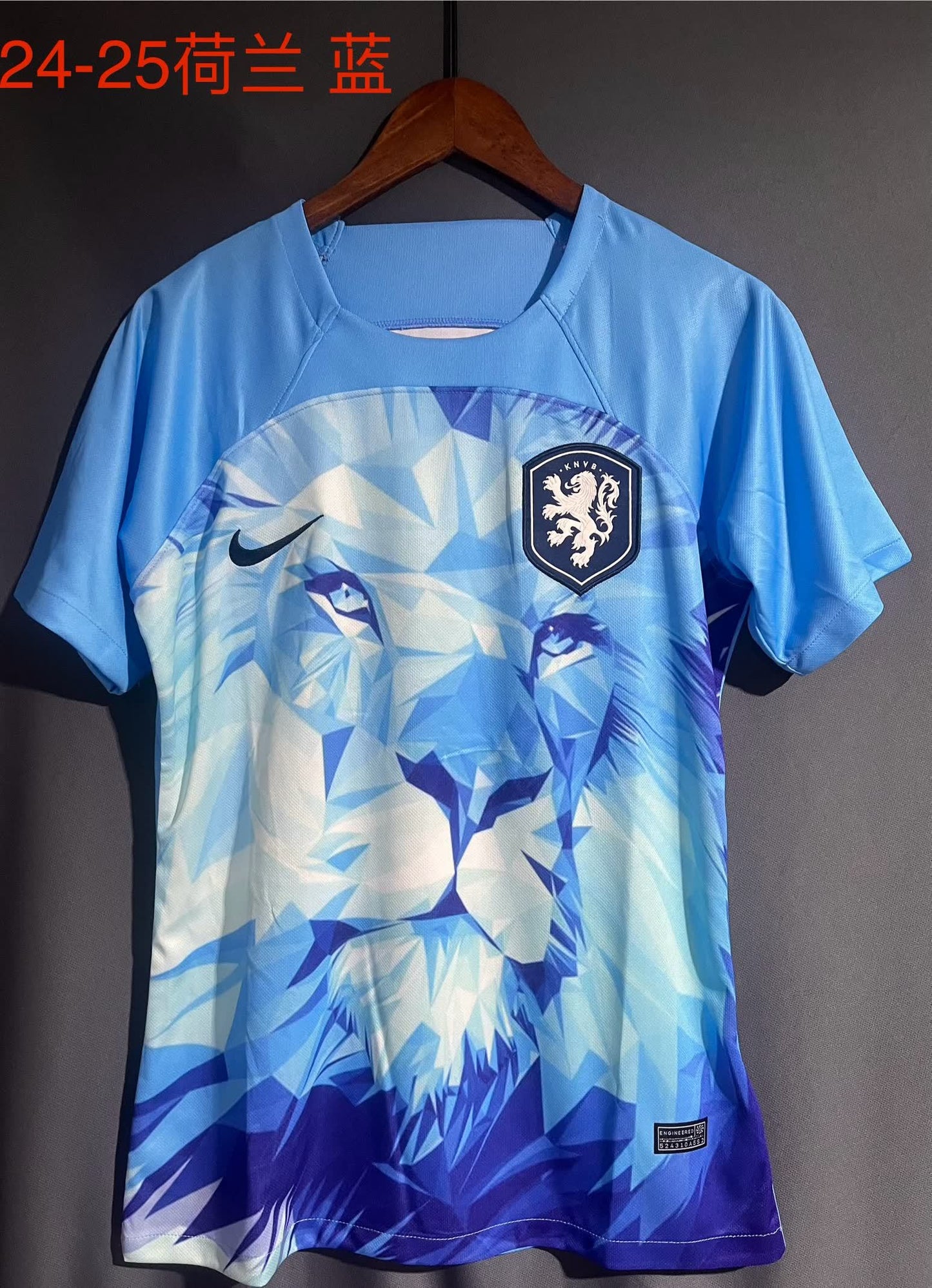 24/25 Netherlands Blue S-XXL