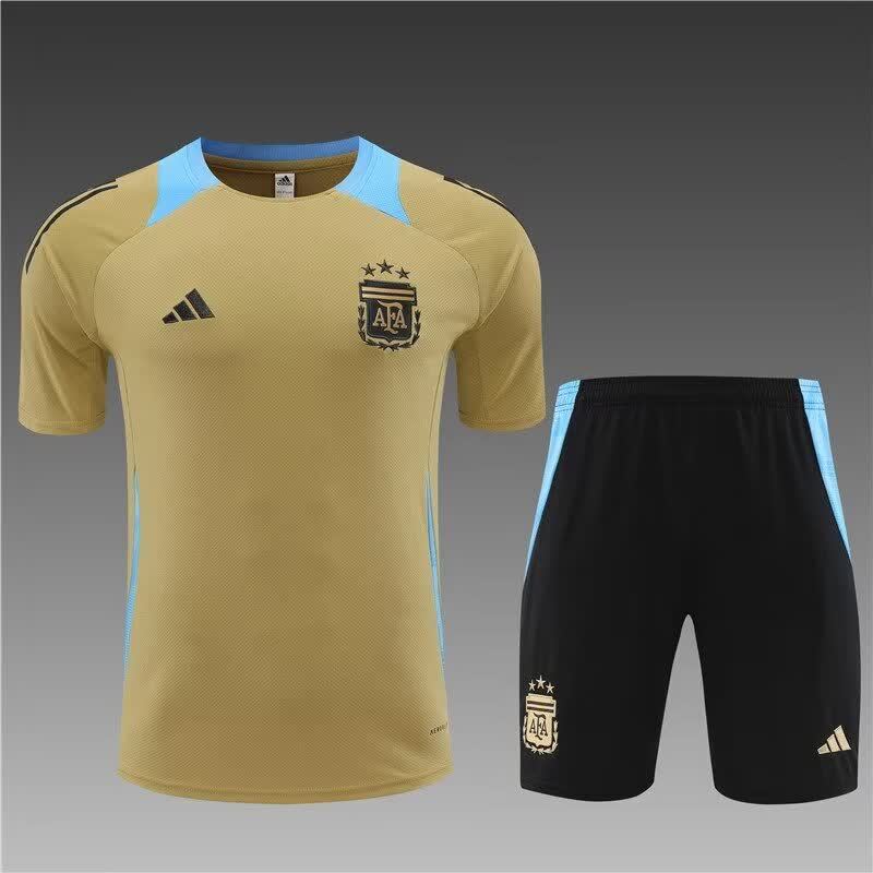 24/25 Argentina Gold Short Sleeves S-XXL