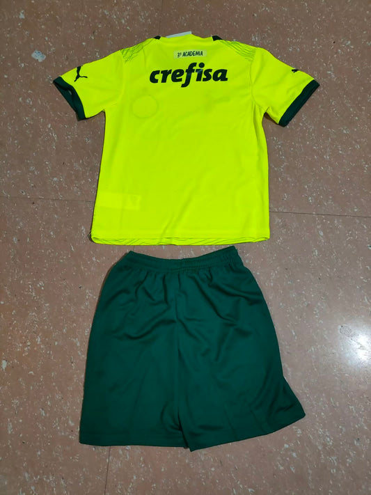 Palmeiras 帕尔梅拉斯