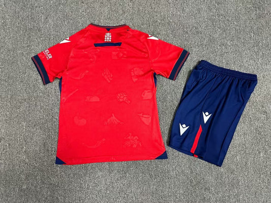 Osasuna 奥萨苏纳