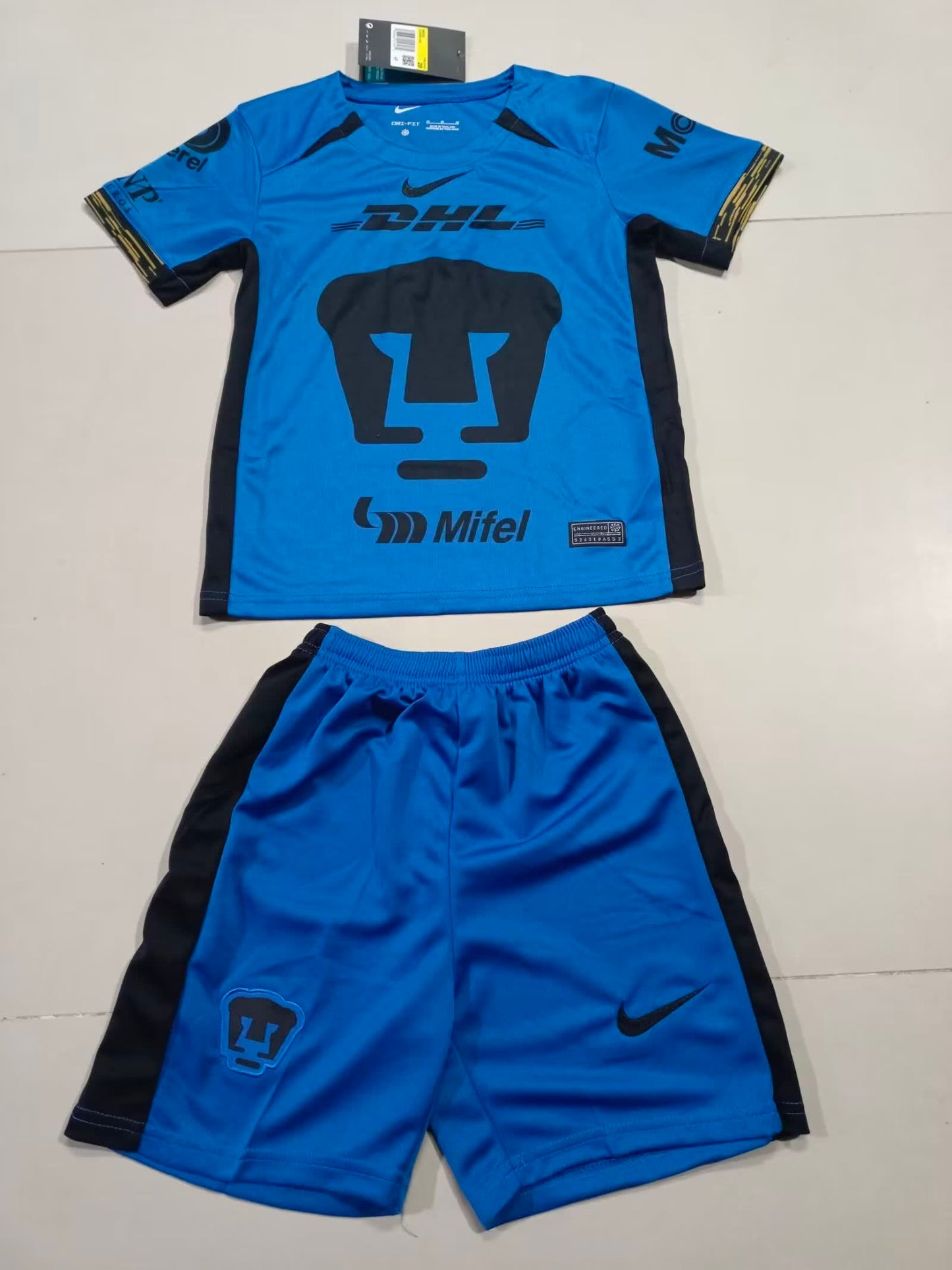 Pumas 美洲狮