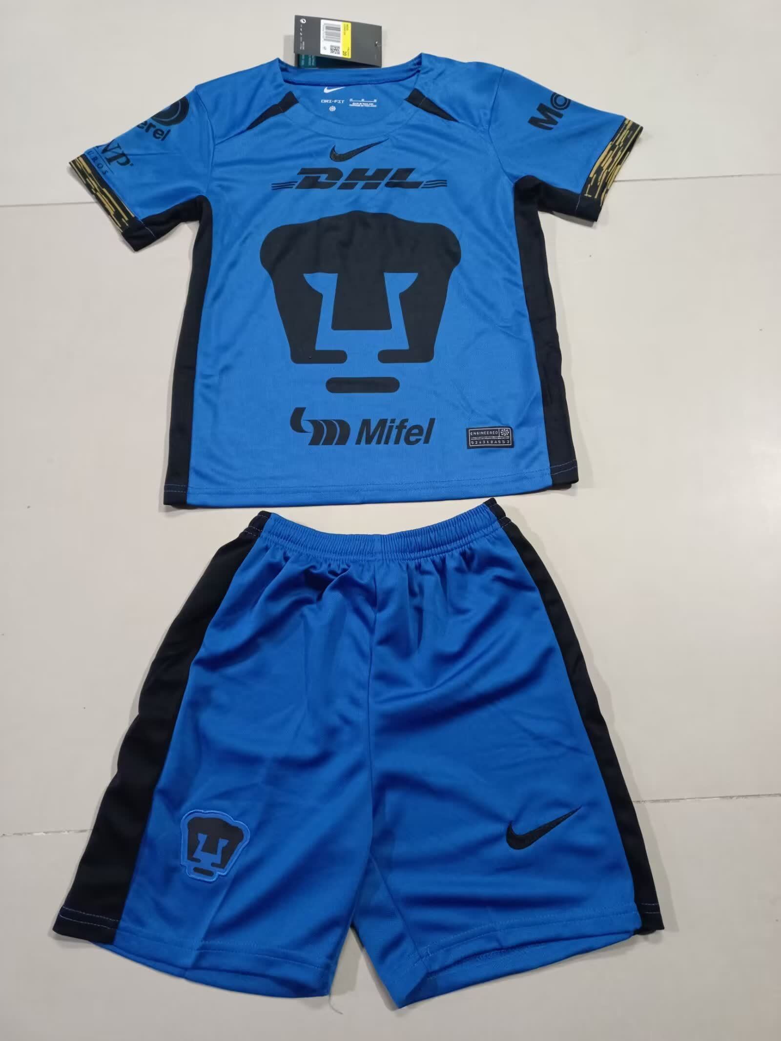 Pumas 美洲狮