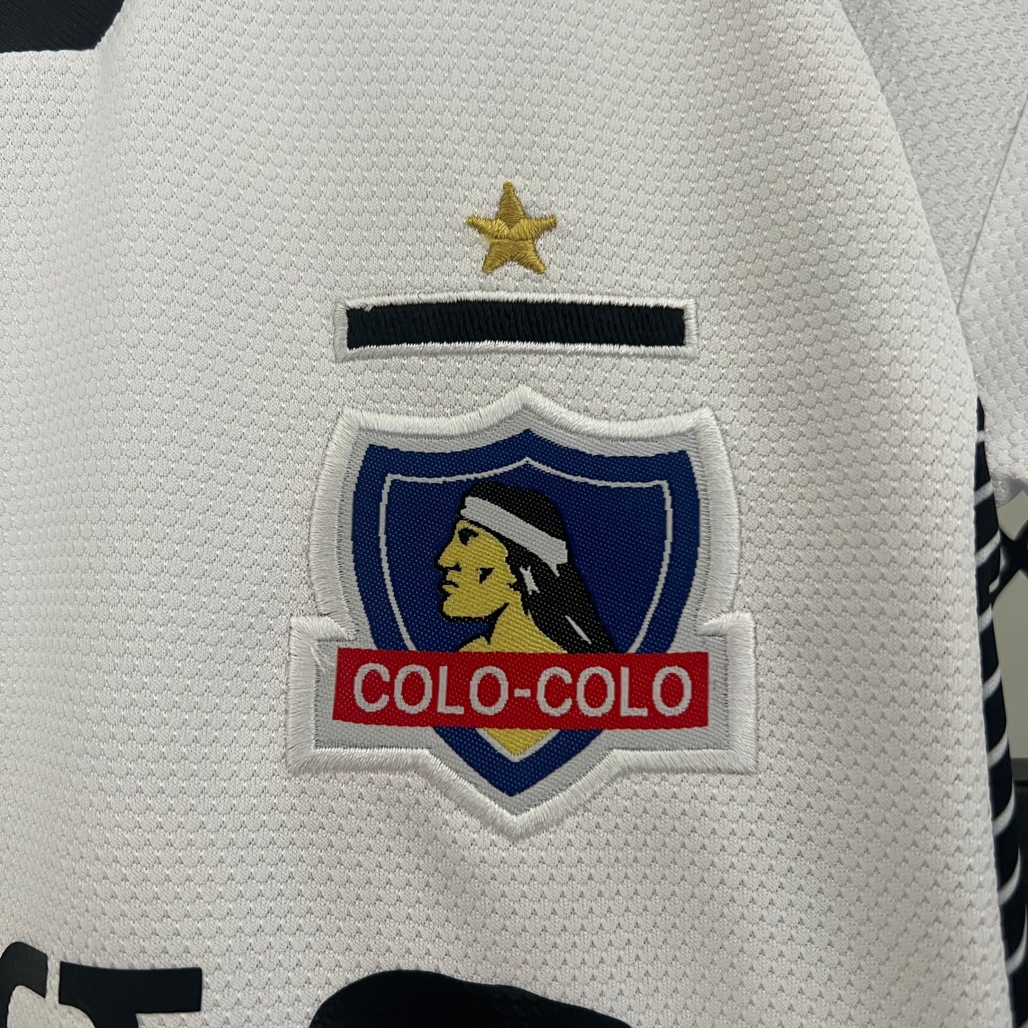 Colo-Colo 科洛科洛