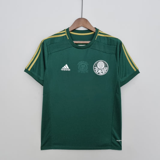 Retro Palmeiras 14/15 home S-XXL