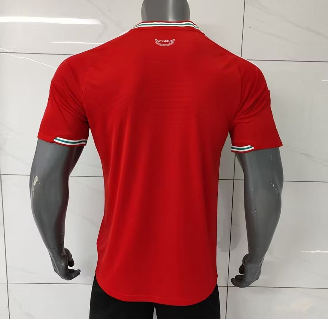 /27 Wales home S-XXL4