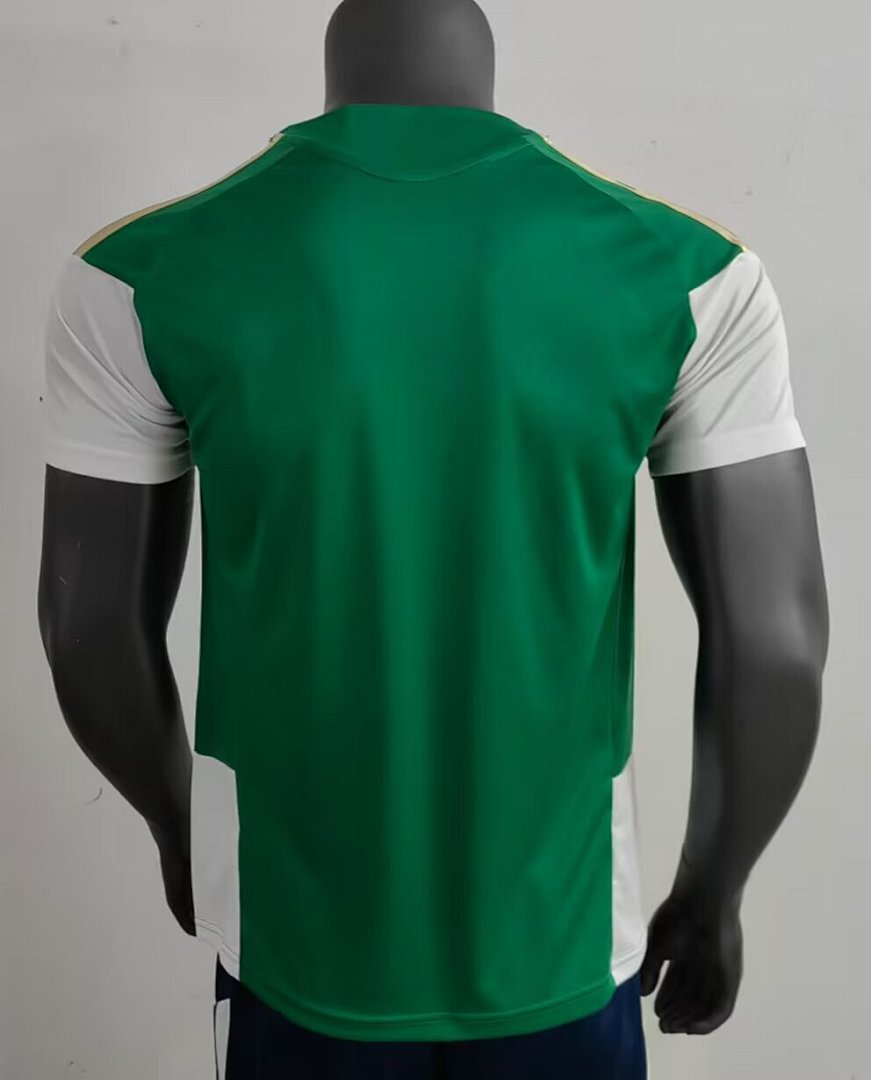 /27 Italy Green Training Suit S-XXL4