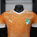 /27 Ivory Coast Special Edition Orange Player Edition Yupoo Soccer Jerseys S-XXL6