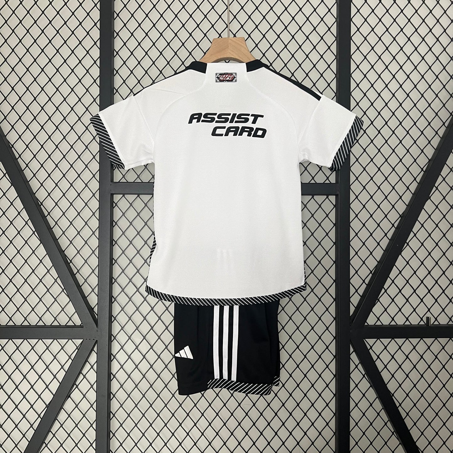 Colo-Colo 科洛科洛