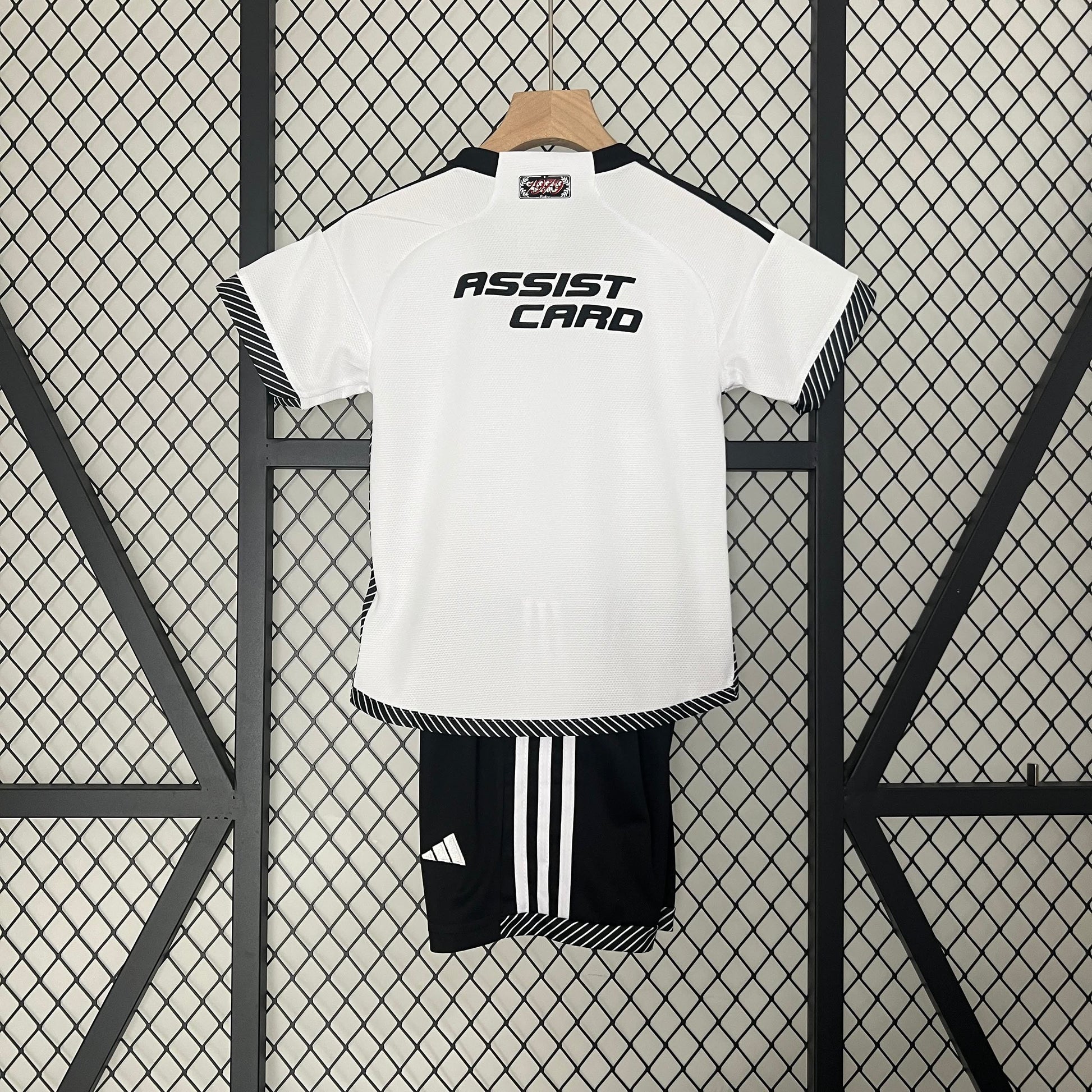 Colo-Colo 科洛科洛