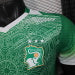 /27 Ivory Coast Special Edition Green Player Edition Yupoo Soccer Jerseys S-XXL6