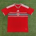 /27 Wales home S-XXL4