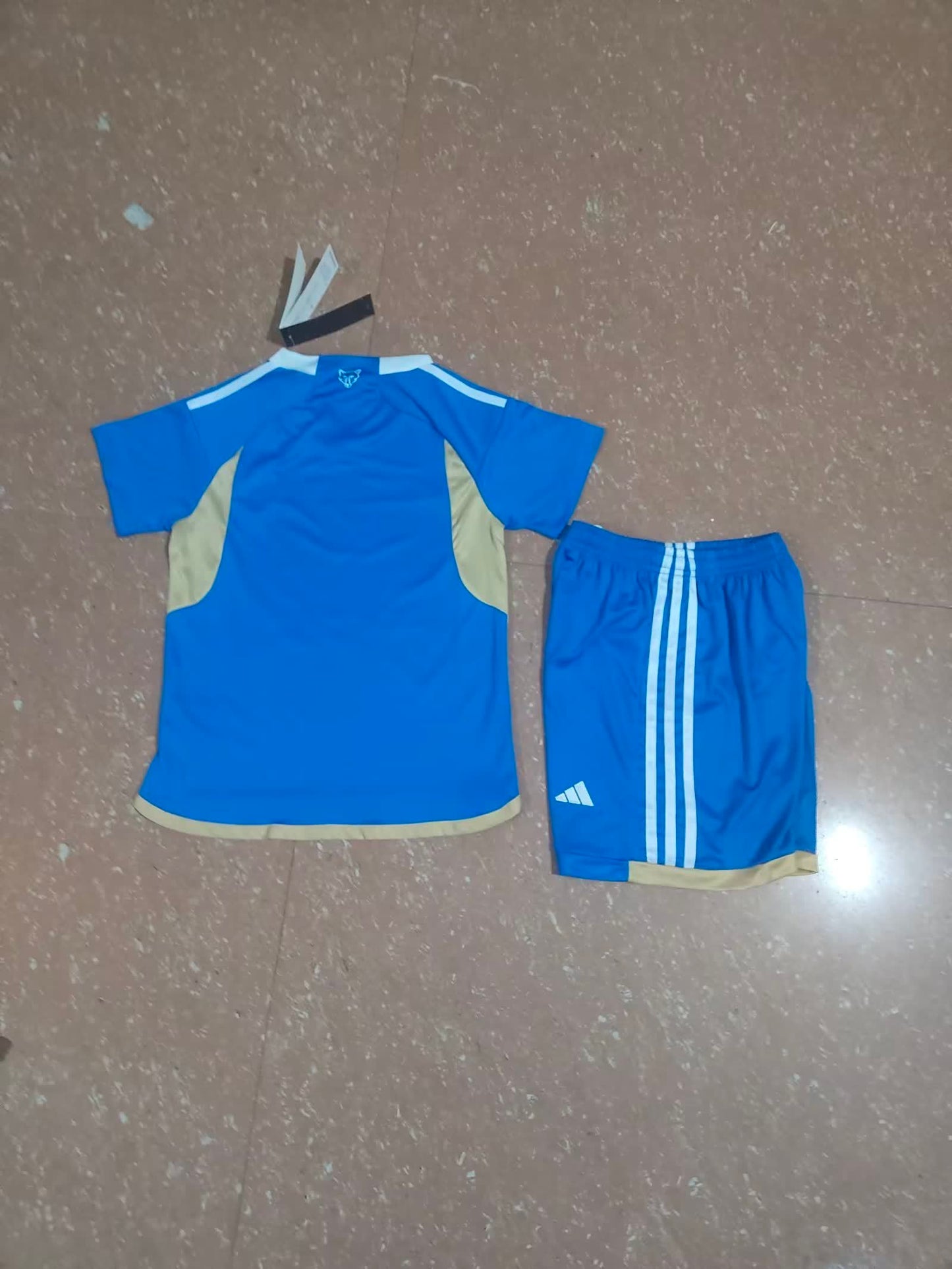 Leicester City 莱斯特城