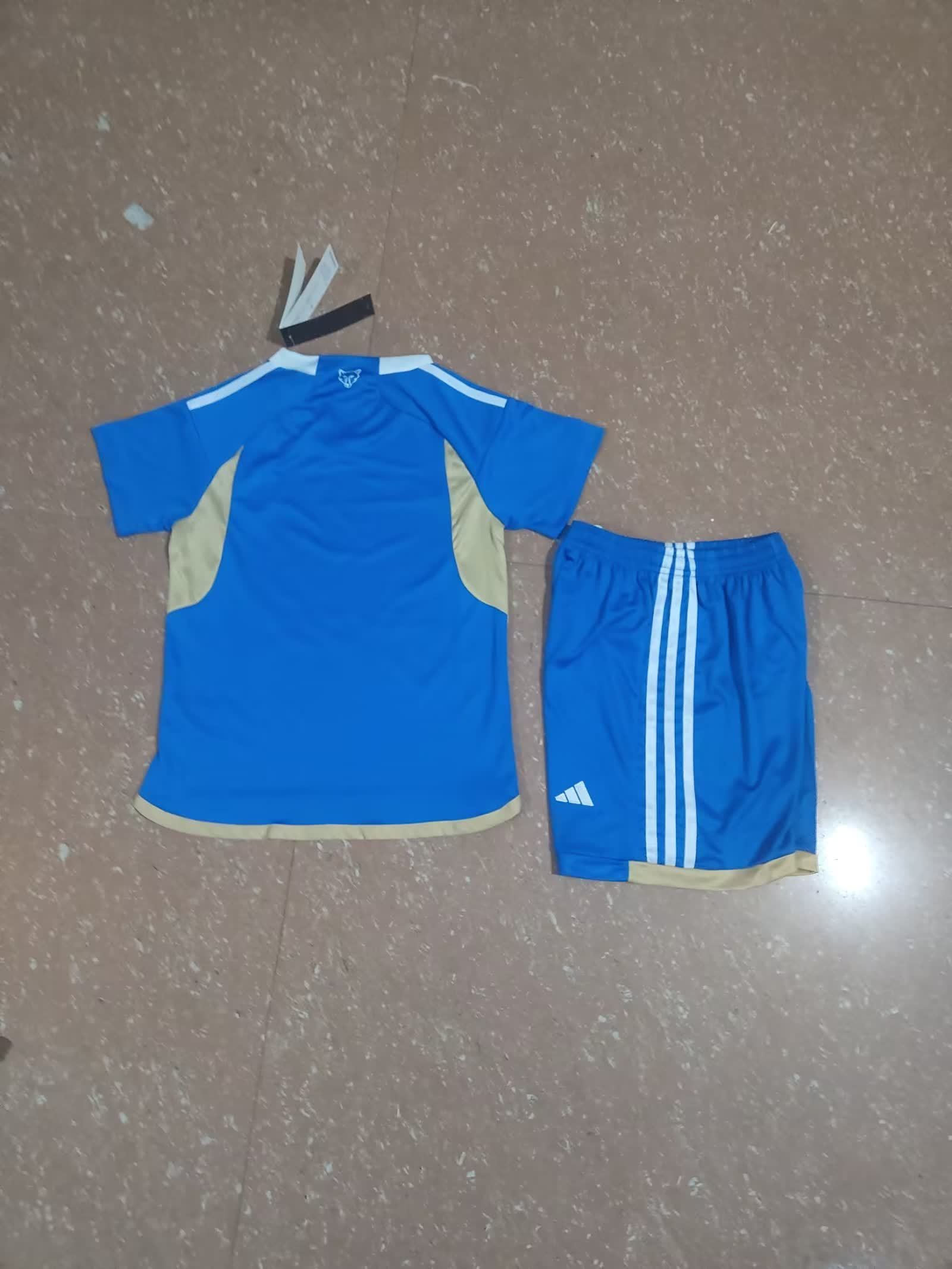 Leicester City 莱斯特城