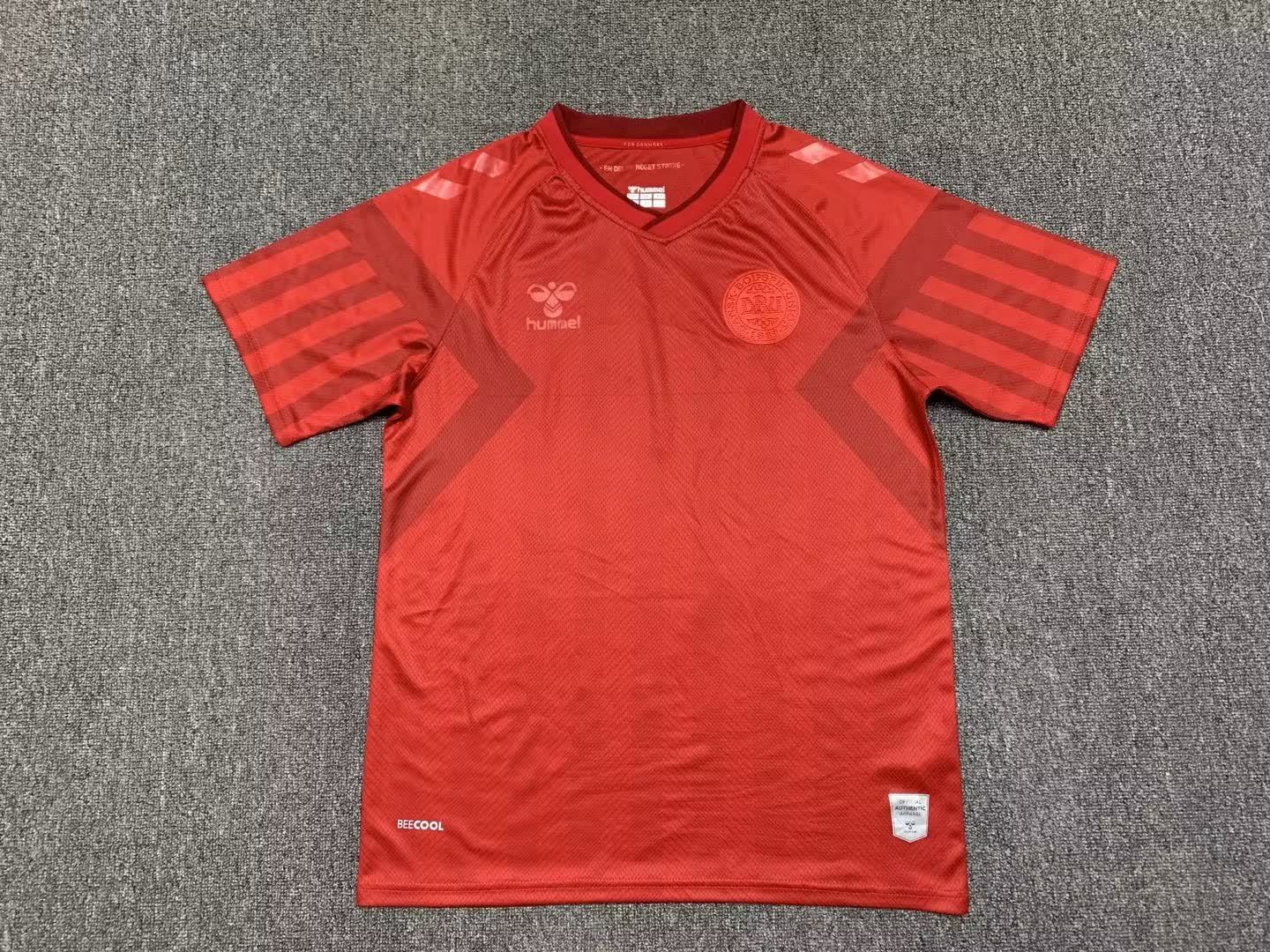 2022 Denmark home