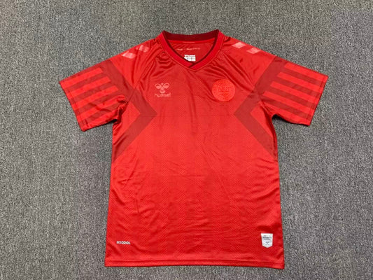 2022 Denmark home