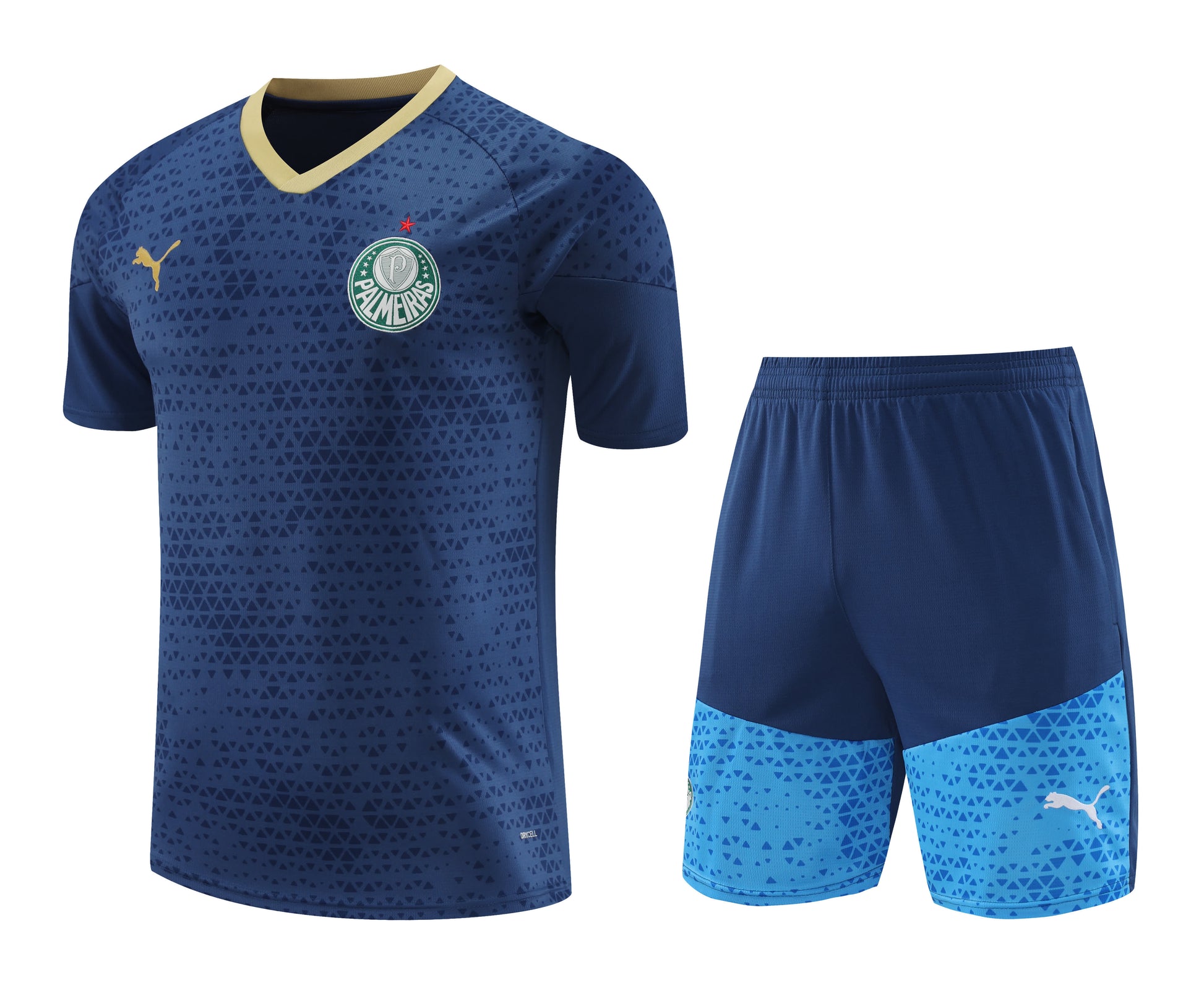 24/25 Palmeiras Training Suit S-XXL
