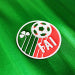 Retro 1992/94 Ireland home Yupoo Soccer Jerseys S-XXL6