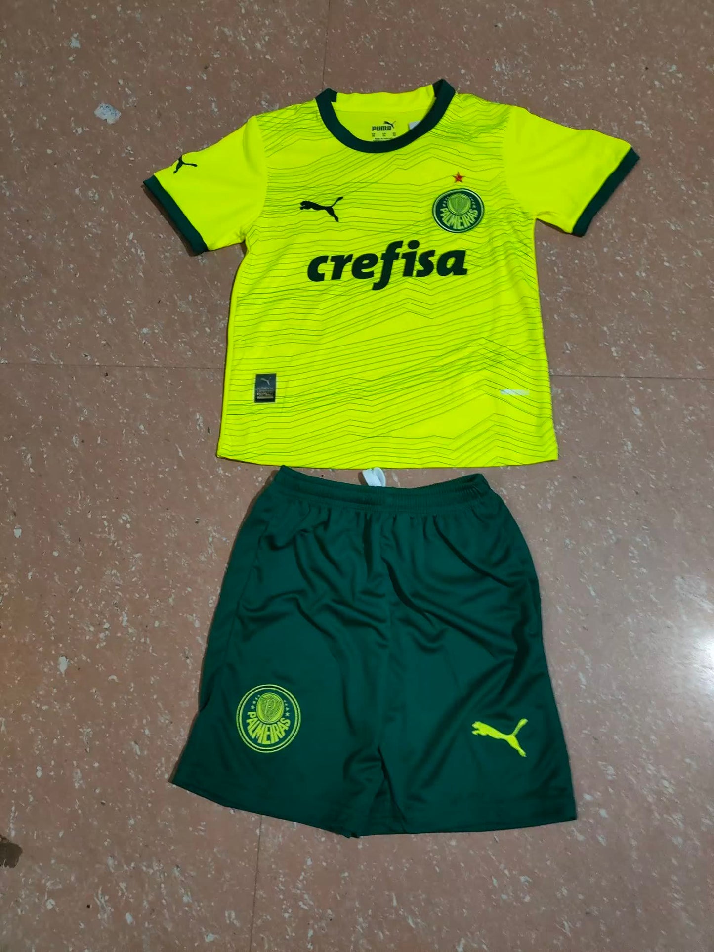 Palmeiras 帕尔梅拉斯
