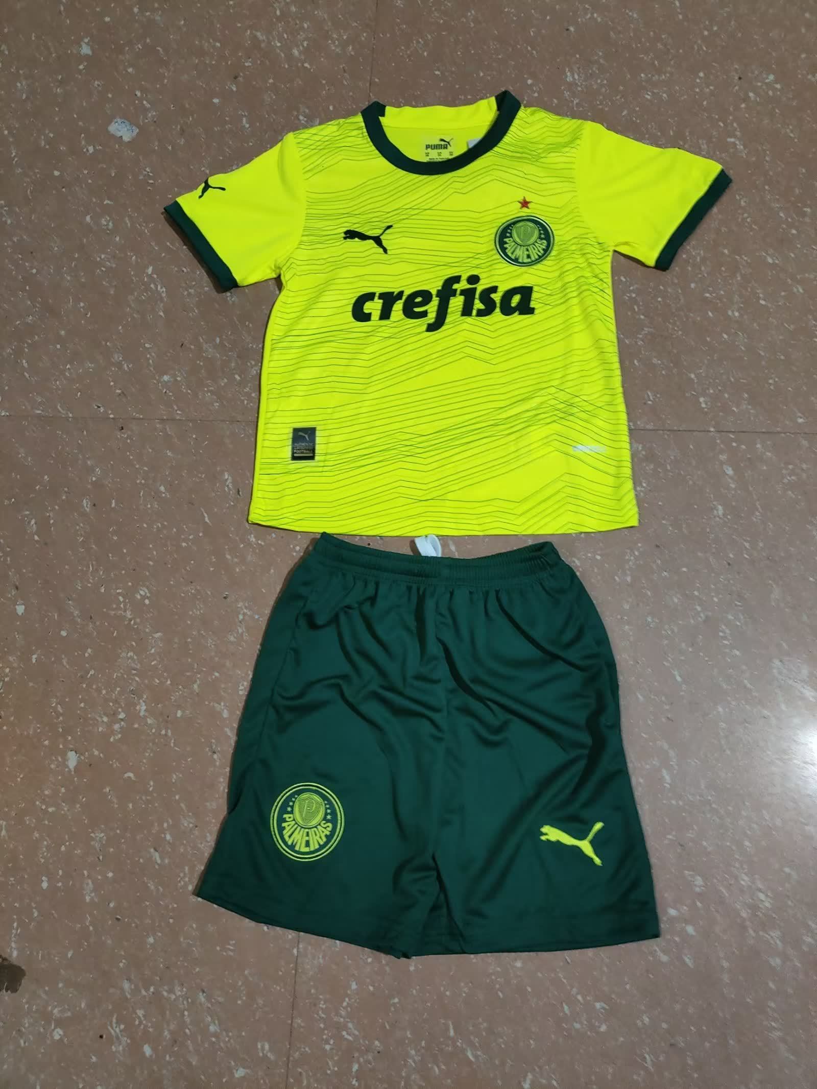 Palmeiras 帕尔梅拉斯