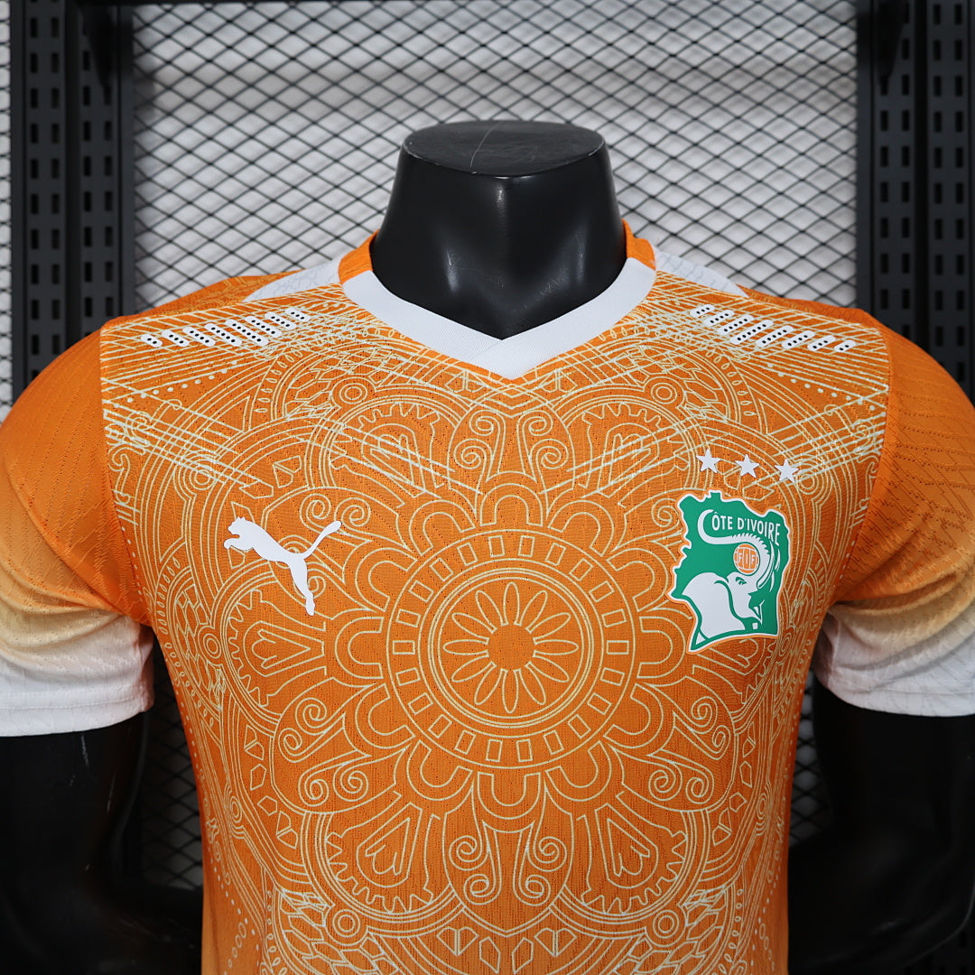 /27 Ivory Coast Special Edition Orange Player Edition Yupoo Soccer Jerseys S-XXL6