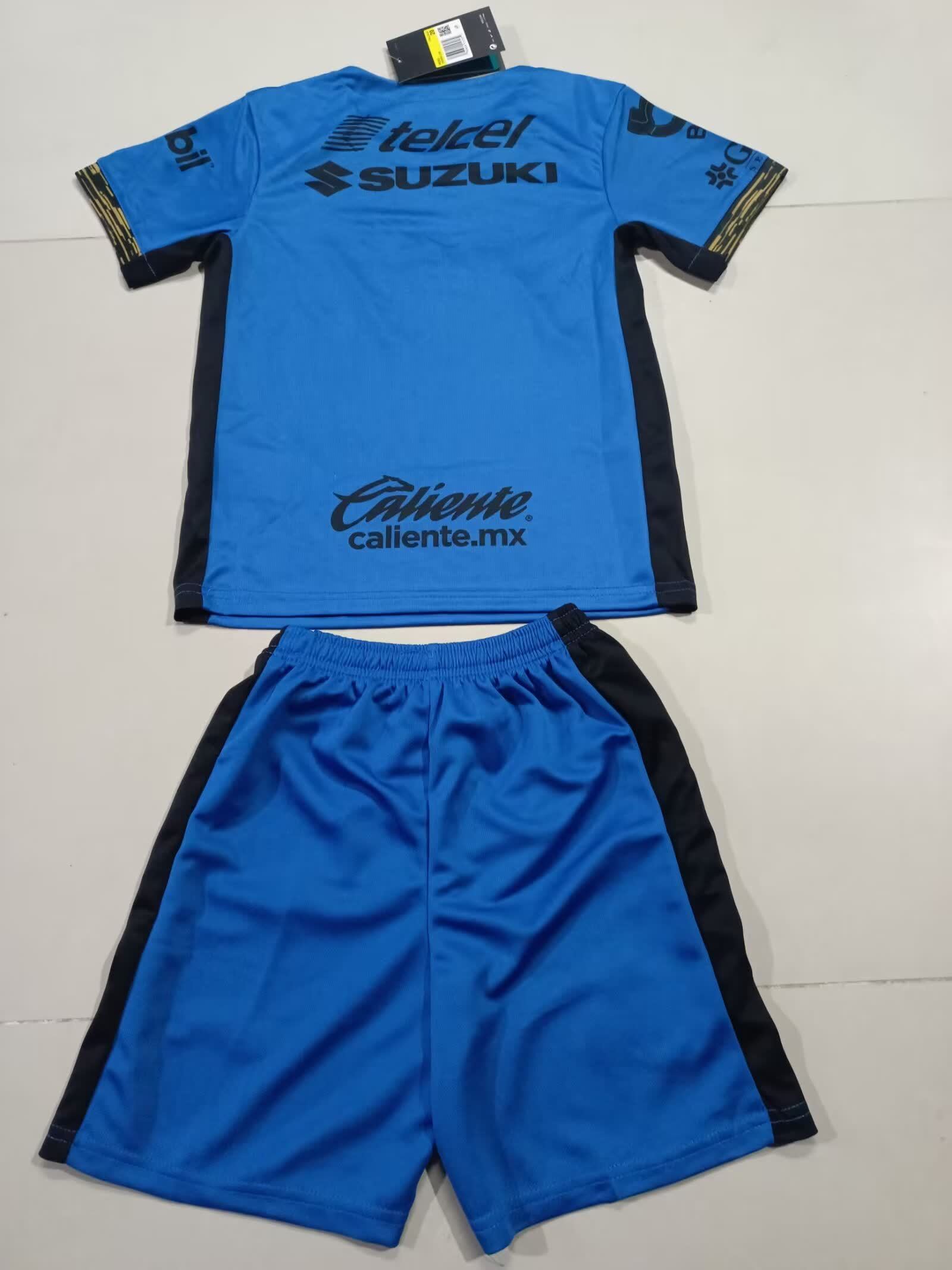 Pumas 美洲狮