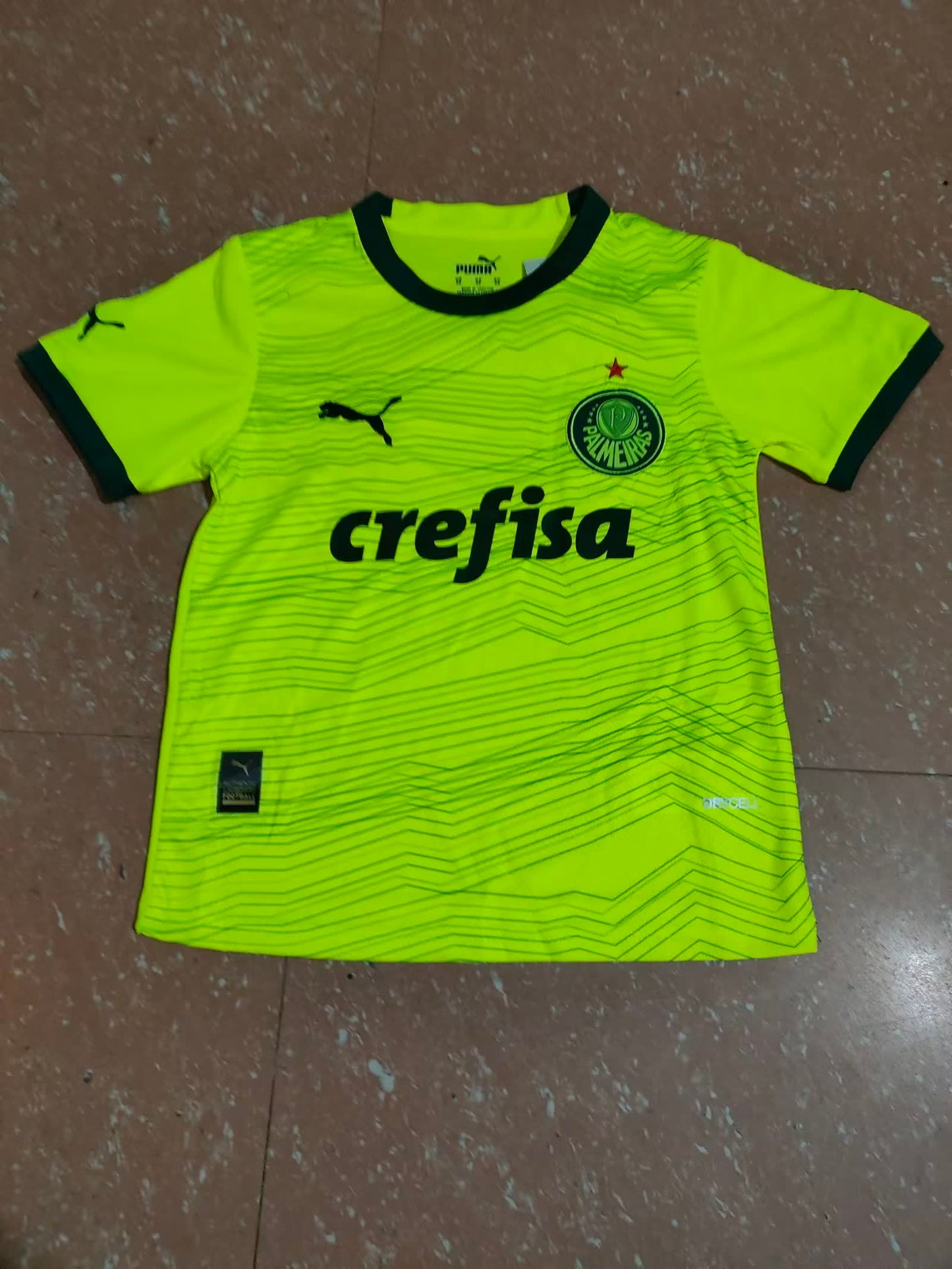 Palmeiras 帕尔梅拉斯