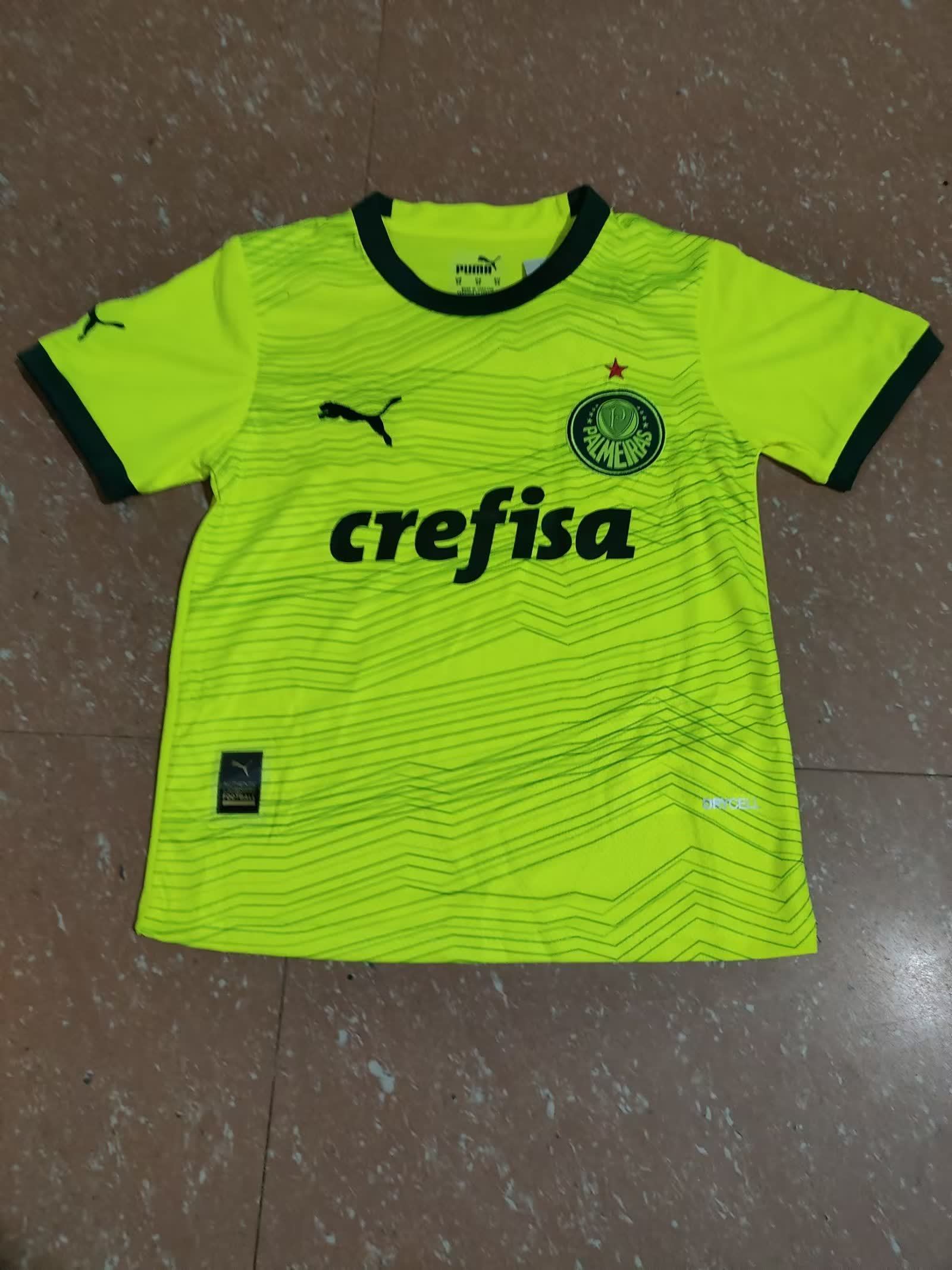 Palmeiras 帕尔梅拉斯
