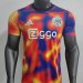 /26 Ajax Training Shirt S-XXL4