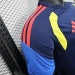 /27 Colombia Training Suit Player Edition Football jersey S-XXL5