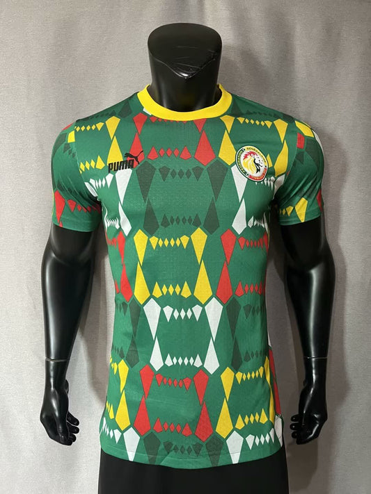 23/24 Senegal Home Player Edition