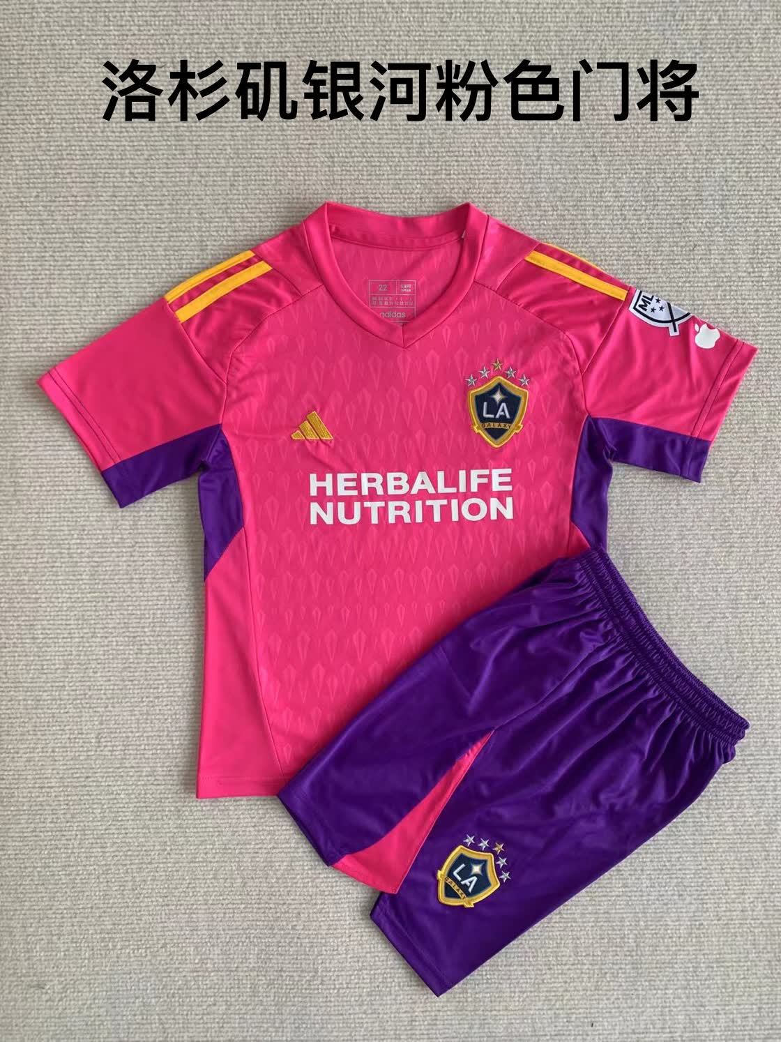 23/24 Los Angeles Galaxy Pink Goalkeeper