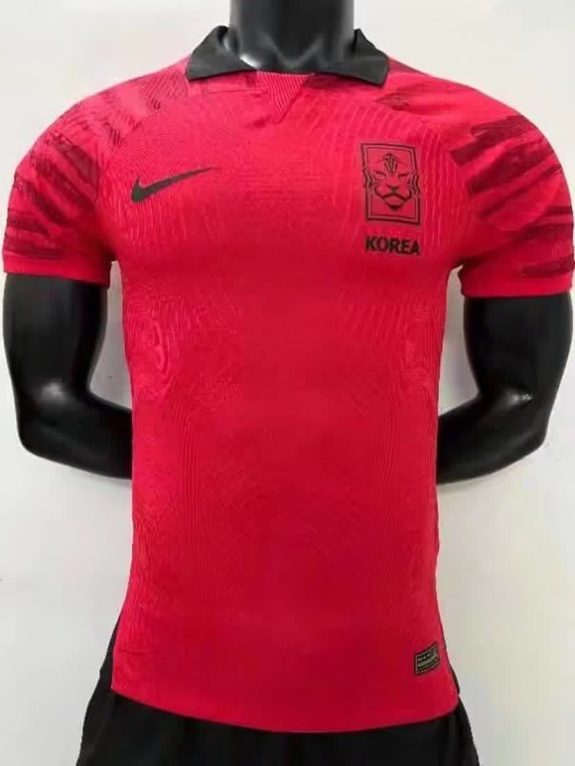 2022 Korea home player version