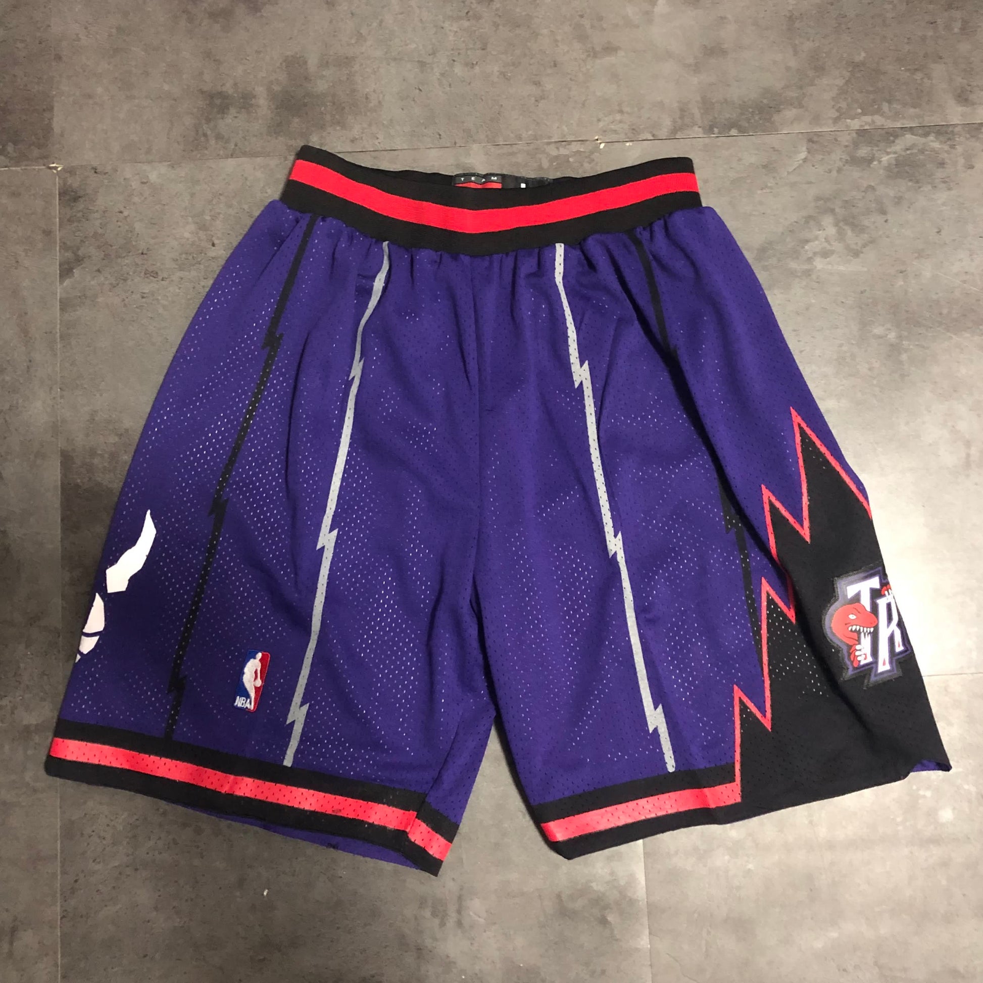 Raptors Vintage Pants Purple