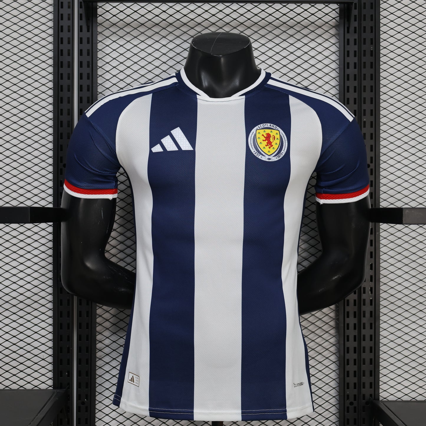 2026/27 Wales Special Edition Player Version Football jersey S-XXL