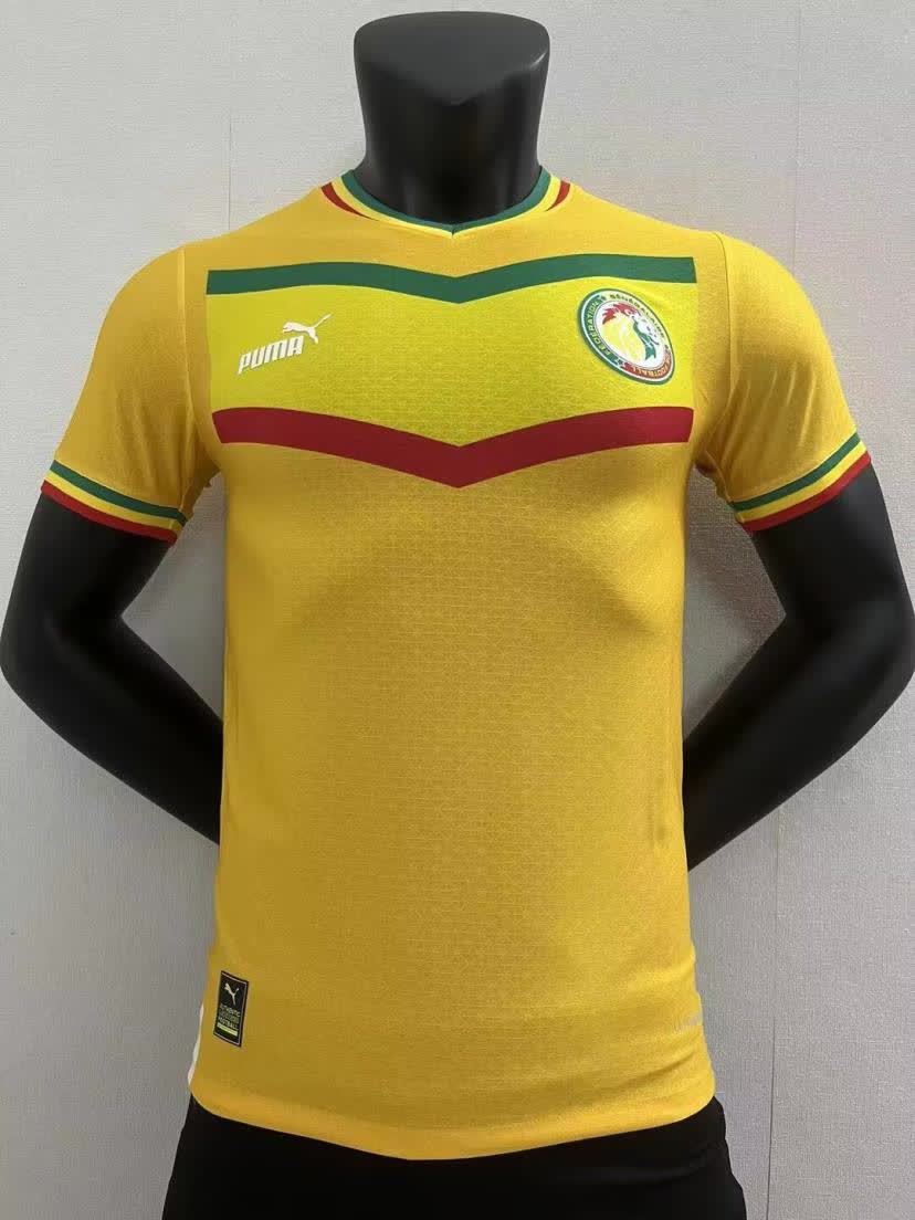 2022 Senegal away player version