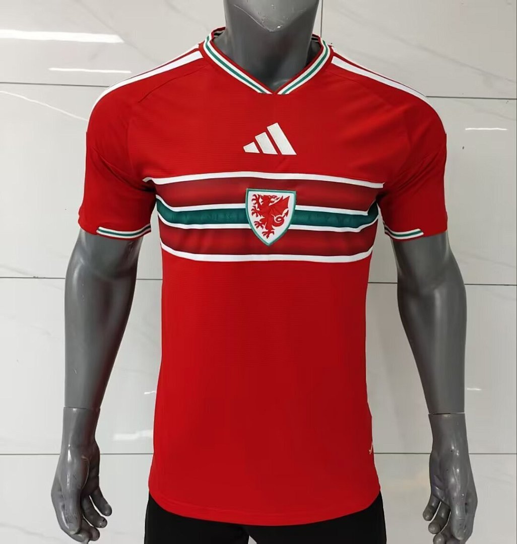 /27 Wales home S-XXL4