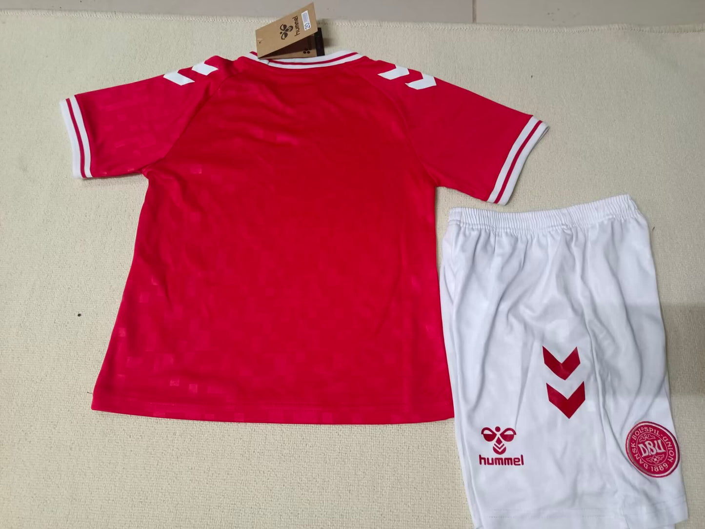 Denmark 丹麦