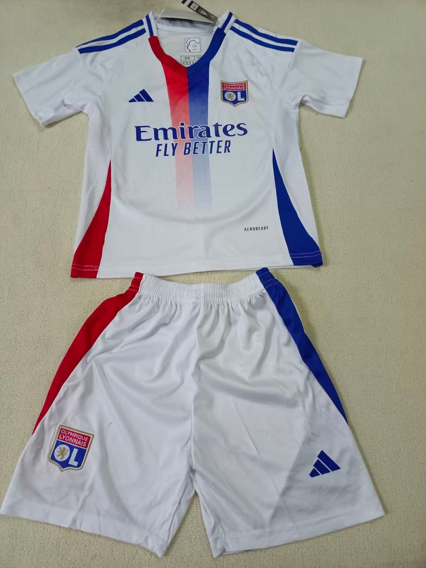 Olympique Lyonnais  里昂
