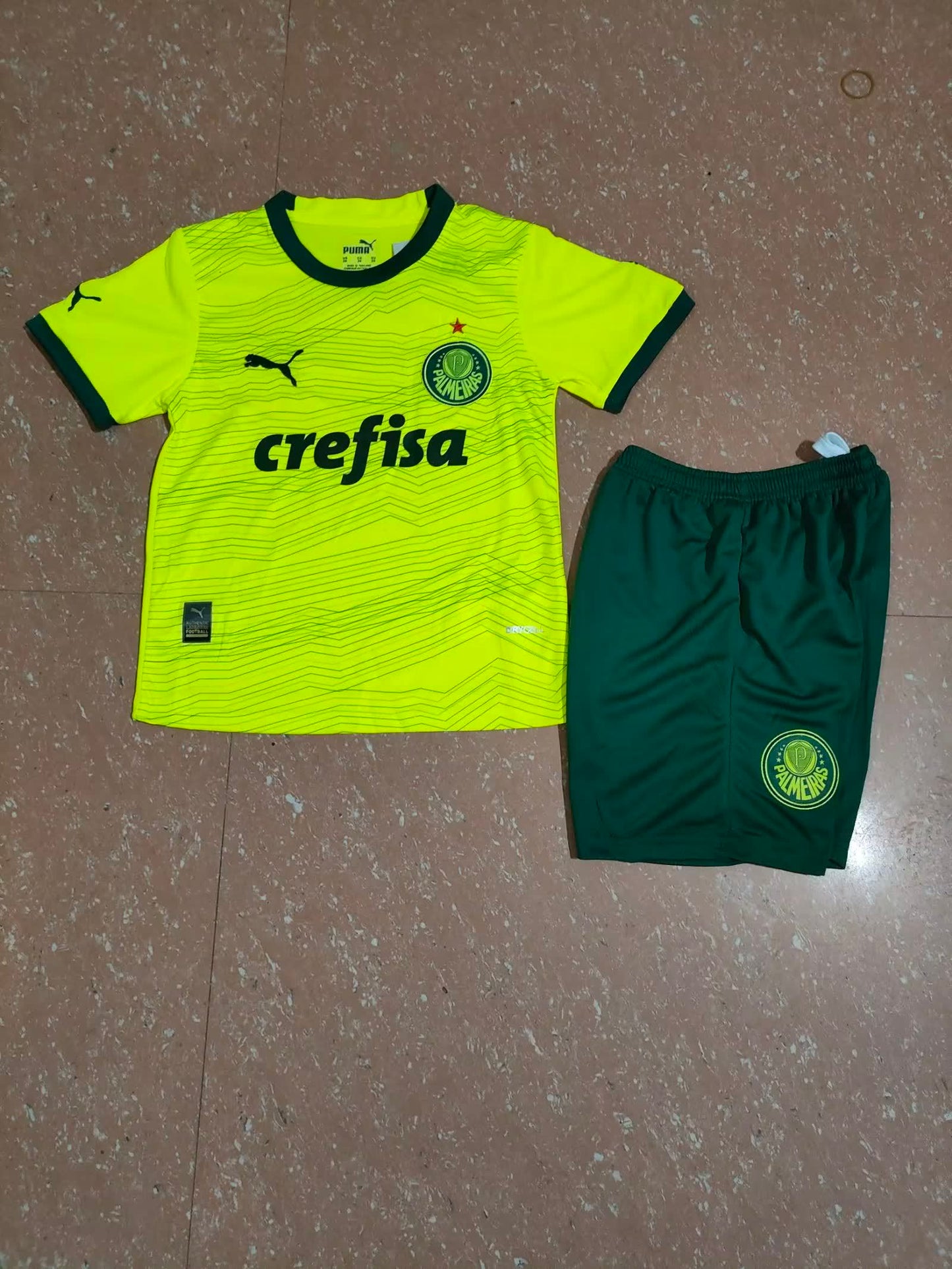 Palmeiras 帕尔梅拉斯