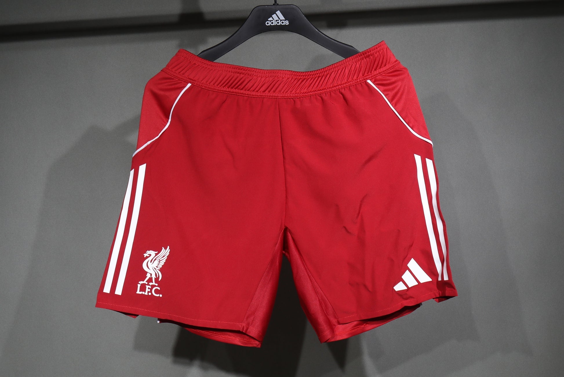 25/26 LVP home player shorts S-3XL