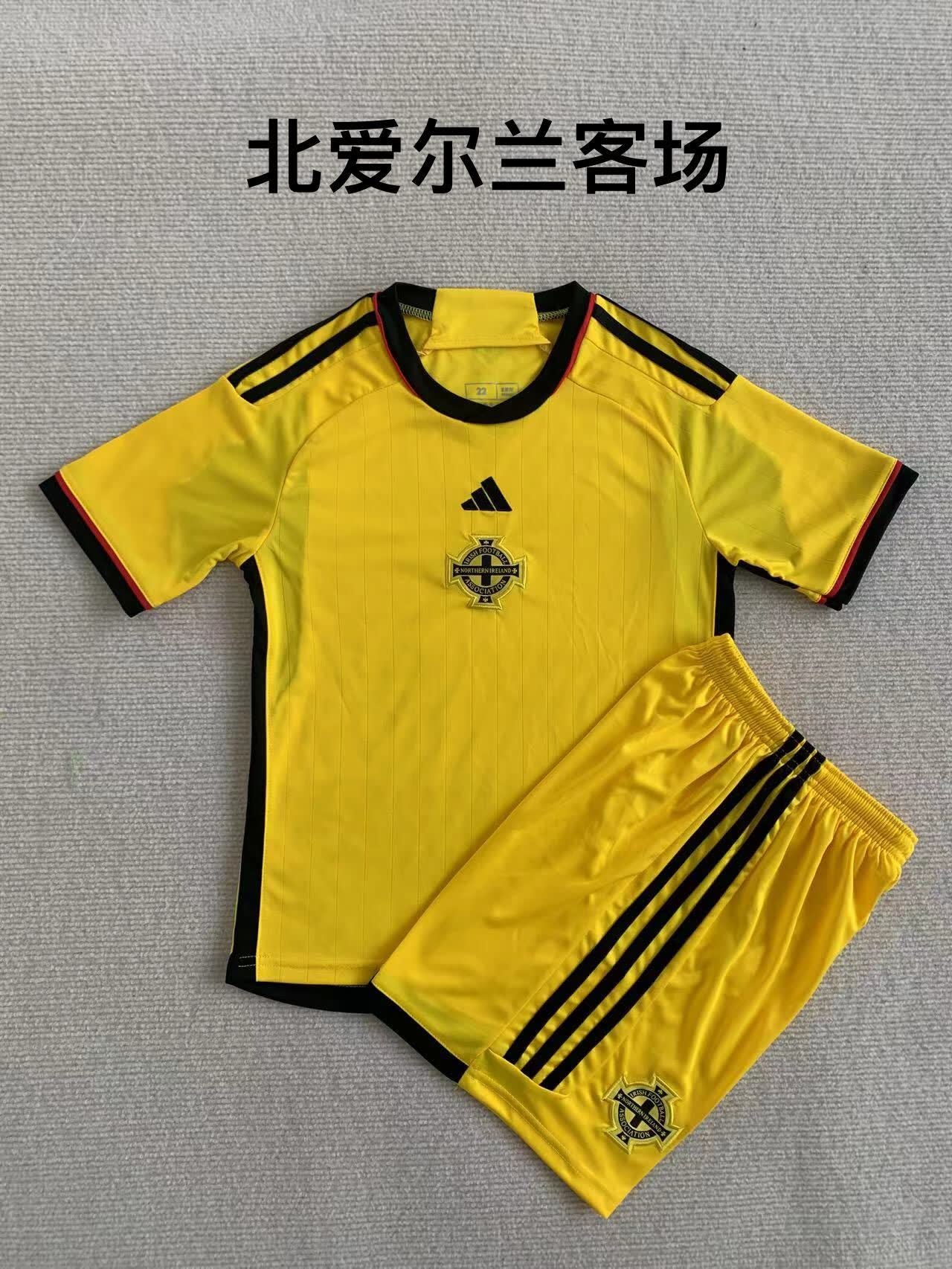 23/24 Northern Ireland away