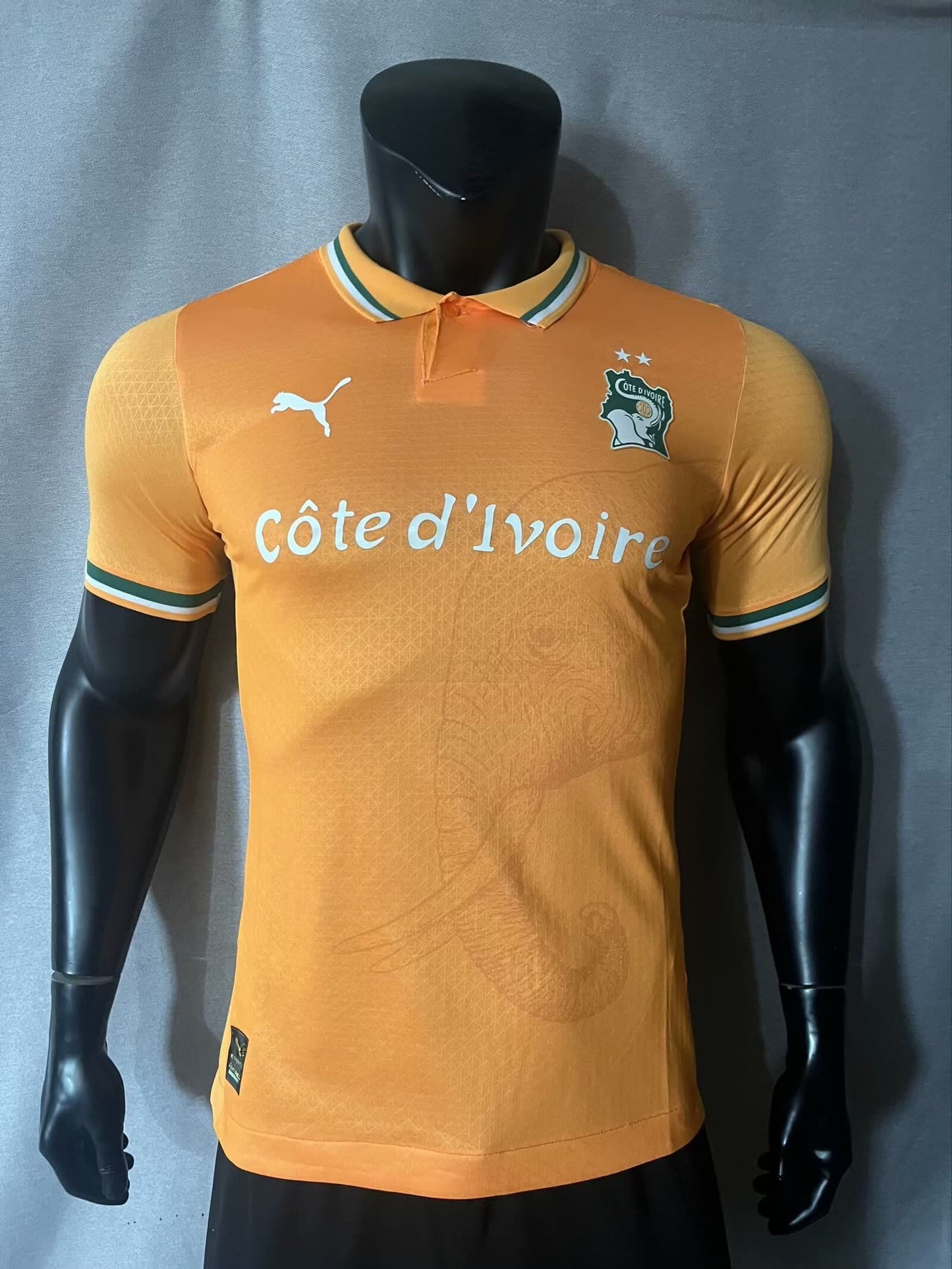 23/24 Ivory Coast Home Player Edition