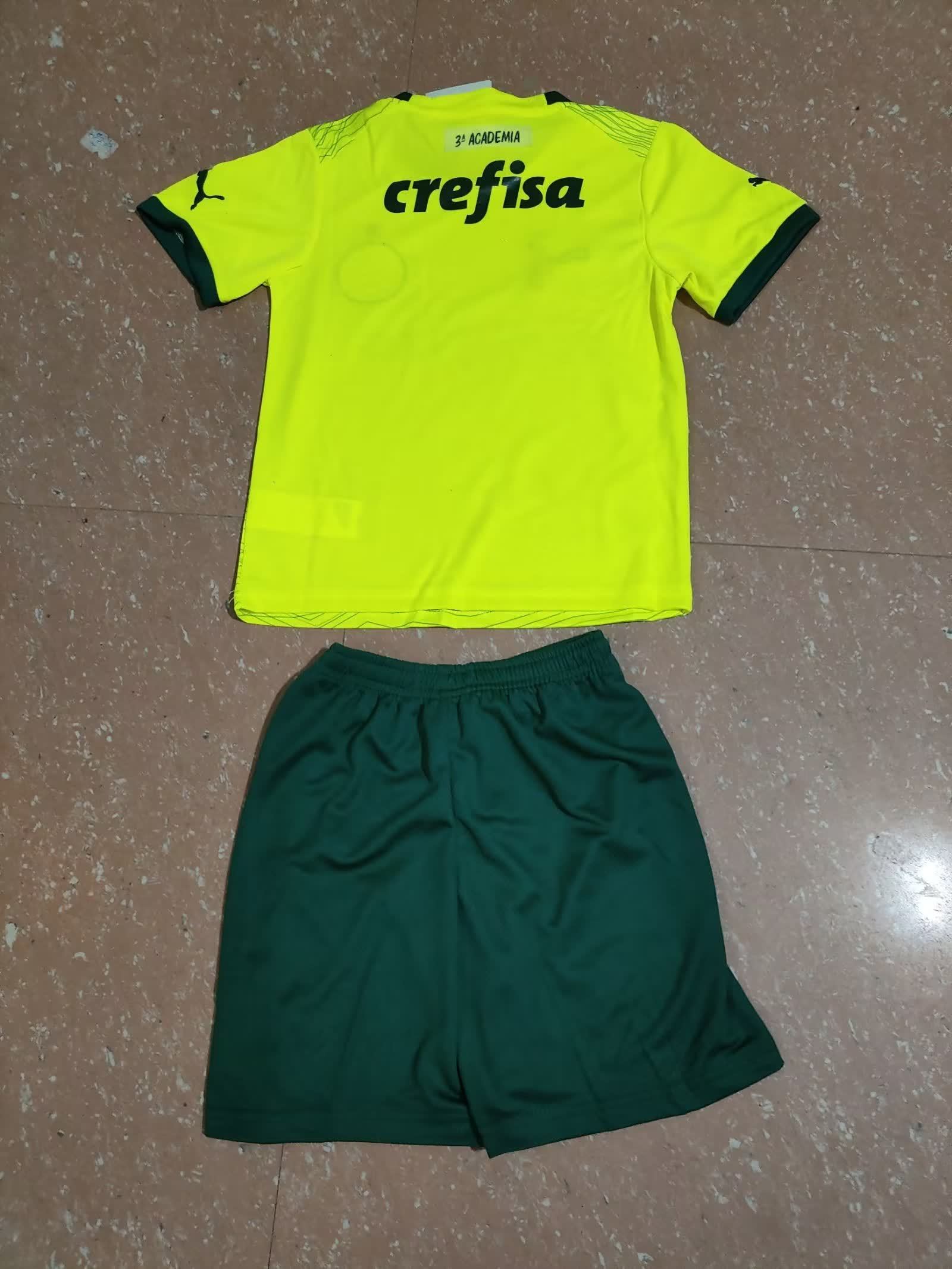 Palmeiras 帕尔梅拉斯