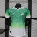 /27 Ivory Coast Special Edition Green Player Edition Yupoo Soccer Jerseys S-XXL6