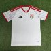 /27 United Arab Emirates home S-XXL4