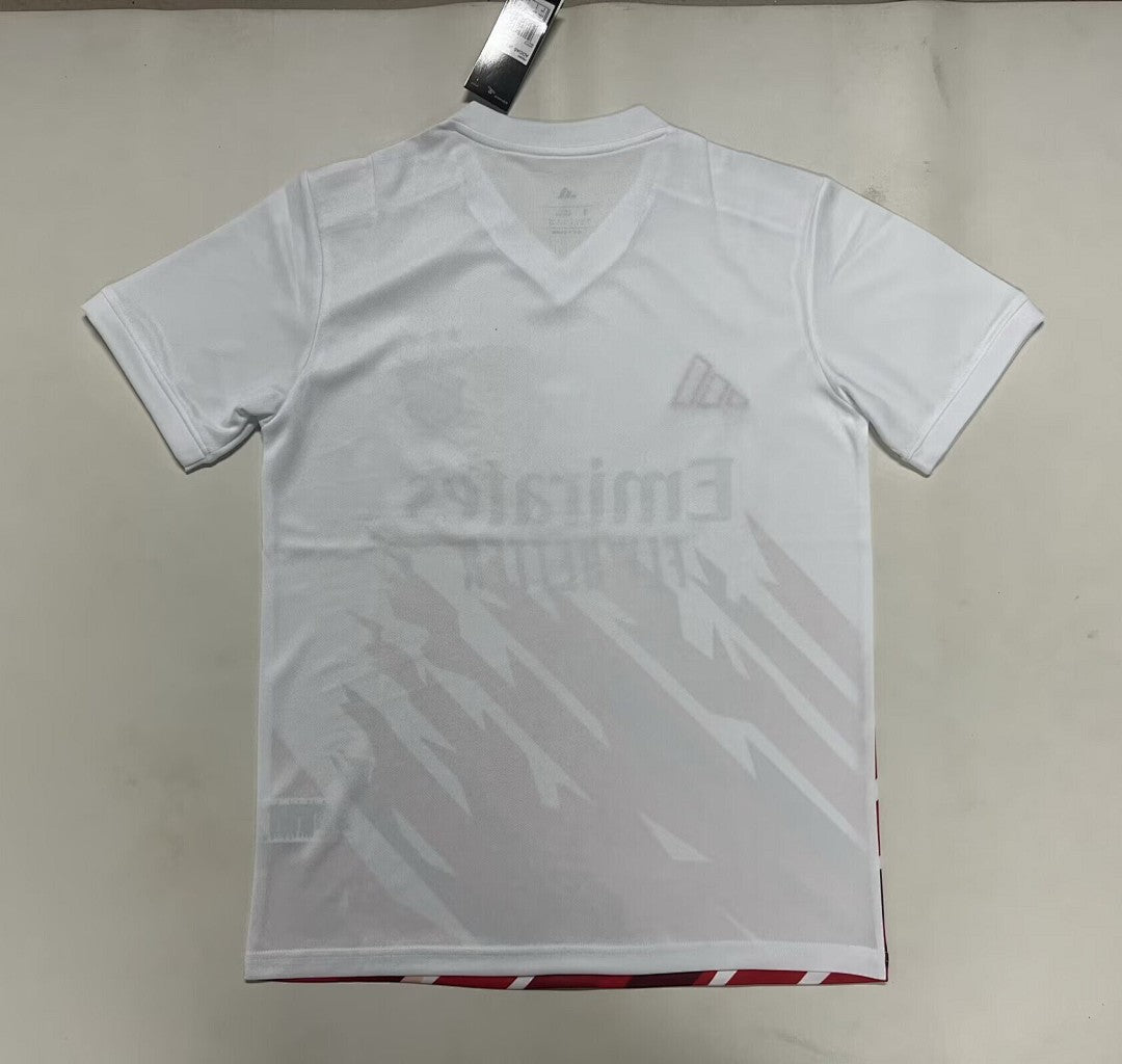/26 Benfica Training Shirt S-4XL2